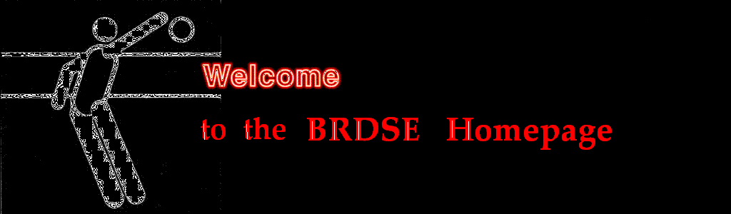 ♥ BRDSE The Best ♥
